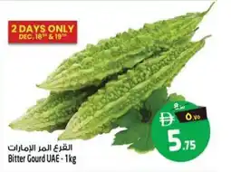Safari Hypermarket Bitter Gourd UAE offer