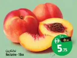 Safari Hypermarket Nectarine offer