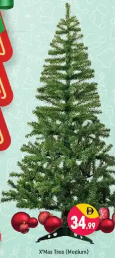 Shaklan X'Mas Tree offer