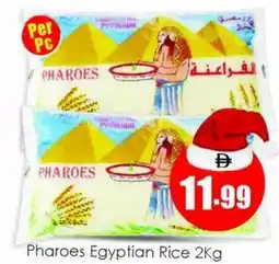 Amber Pharoes Egyptian Rice offer