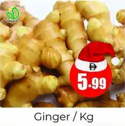 Amber Ginger offer
