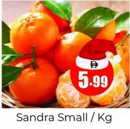 Amber Sandra Small offer