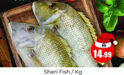 Amber Sheri Fish offer
