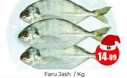 Amber Faru Jash offer