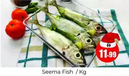 Amber Seema Fish offer