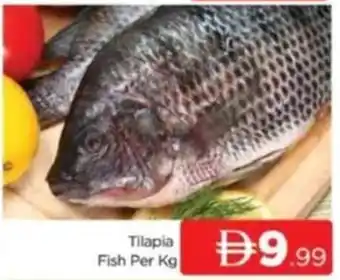 Al Madina Tilapia Fish offer