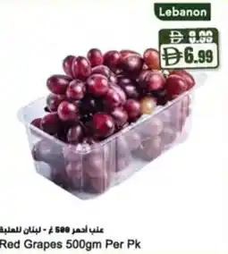 Almaya supermarket Red Grapes offer