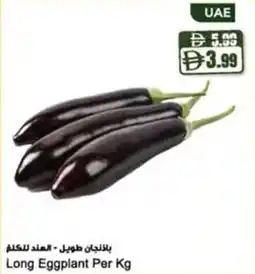 Almaya supermarket Long Eggplant offer