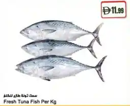 Almaya supermarket Fresh Tuna Fish offer