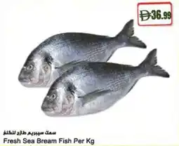 Almaya supermarket Fresh Sea Bream Fish offer