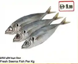 Almaya supermarket Fresh Seema Fish offer