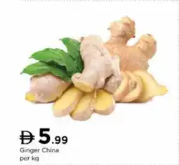 Nesto Ginger China offer