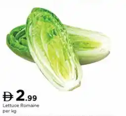 Nesto Lettuce Romaine offer