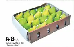 Nesto Guava Egypt offer