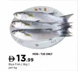 Nesto Biya Fish Big offer
