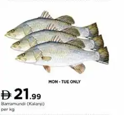 Nesto Barramundi Kalanji offer