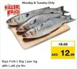 Nesto Biya Fish Big offer