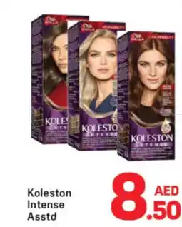 Day To Day Koleston Intense offer
