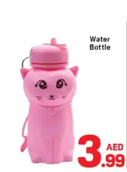 Day To Day Water Bottle offer