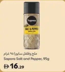 Carrefour Sapora Salt and Pepper offer