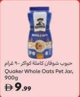 Carrefour Quaker Whole Oats Pet Jar offer