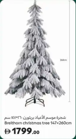 Carrefour Breithorn christmas tree offer
