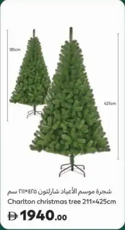 Carrefour Charlton christmas tree offer