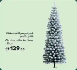 Carrefour Christmas flocked tree offer