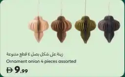 Carrefour Ornament onion offer