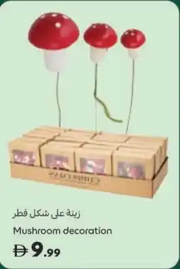 Carrefour Mushroom decoration offer