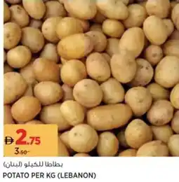 Aswaaq Potato offer