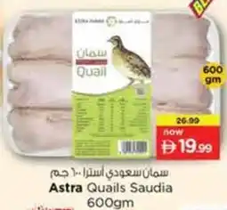 Nesto Astra Quails Saudia offer
