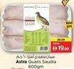 Nesto Astra Quails Saudia offer