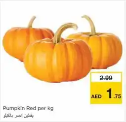 Nesto Pumpkin Red offer