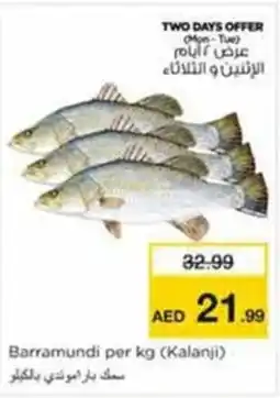 Nesto Barramundi offer