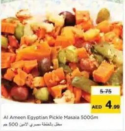Nesto Al Ameen Egyptian Pickle Masala offer