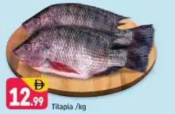Shaklan Tilapia offer