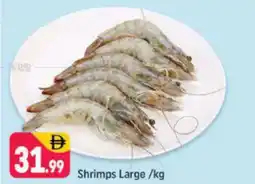 Shaklan Shrimps Large offer