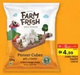 Al Madina Farm Fresh Paneer Cubes offer