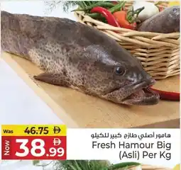 Kenz Hypermarket Fresh Hamour Big offer