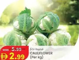 KM Trading Cauliflower offer