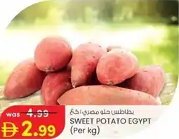 KM Trading Sweet potato egypt offer