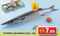 Grand Mall Sharjah Thinda barracuda offer