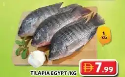 Grand Mall Sharjah Tilapia egypt offer