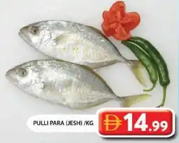 Grand Mall Sharjah Pulli para jesh offer