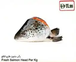 Almaya supermarket Fresh Salmon Head offer