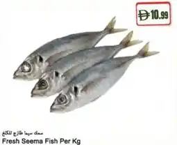 Almaya supermarket Fresh Seema Fish offer