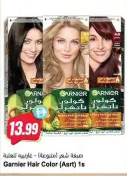 Almaya supermarket Garnier Hair Color (Asrt) 1s offer