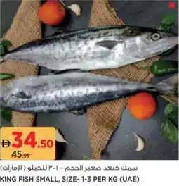 Aswaaq King fish small offer