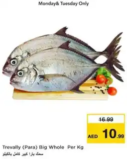 Nesto Trevally Para Big Whole offer